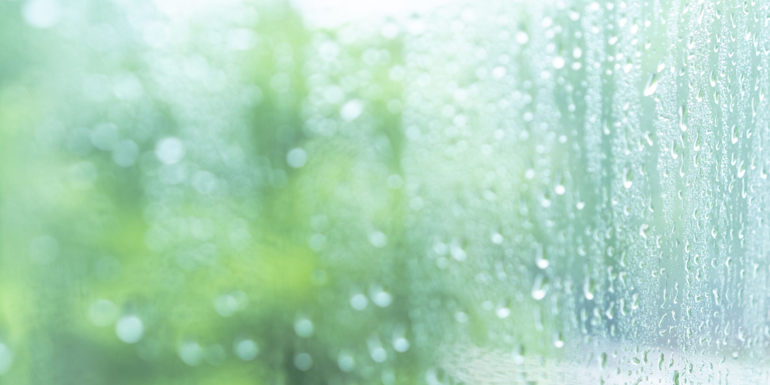 Devotions (Glass) | Emmanuel Faith Community Church | Escondido, CA